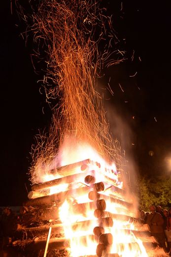 Dsc 2459