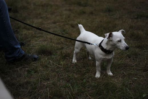 Img 7952