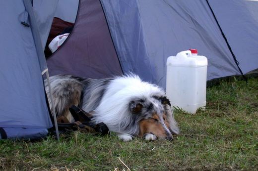 Dscn2842 exposure