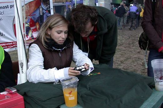 231