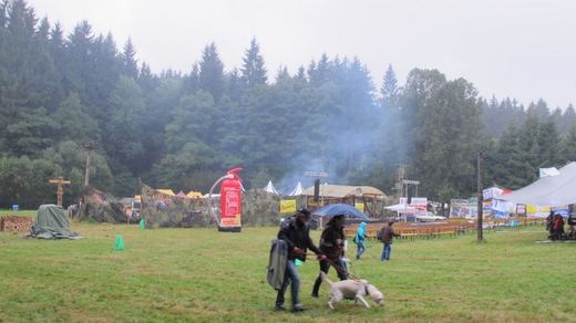 Img 8767