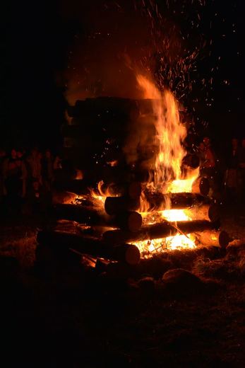 Dsc 0315